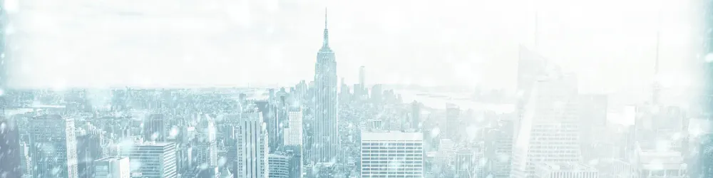 Wintery New York skyline covered in snow